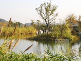 安吉剑山邨生态休闲农庄