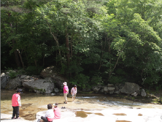 芳台山自然休养林
