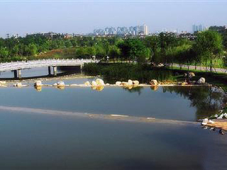 曲江池遗址公园观光小火车