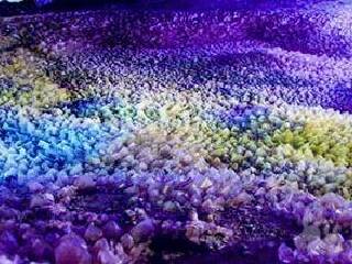 石花水洞地质公园