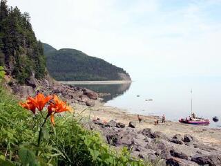 哈巴罗夫斯克边疆区