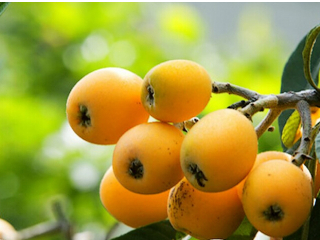 重庆金果园生态旅游区