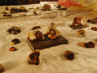 雅轮文石陈列馆