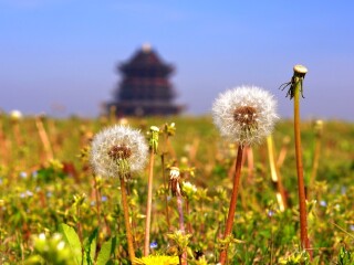 苏州阳澄湖半岛度假区