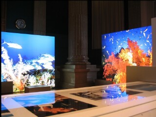 摩纳哥海洋博物馆