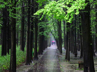 同里国家湿地公园