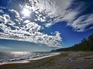 环太平洋公园保护区