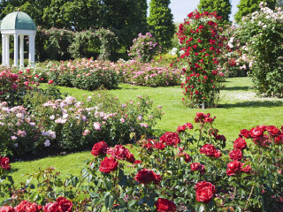 三攀河畔民俗文化村