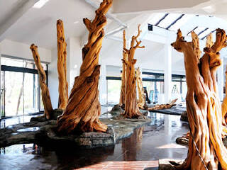 湖州古木艺术馆