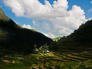 科迪勒拉山梯田