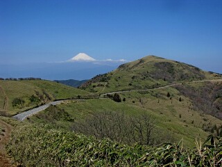 达磨山