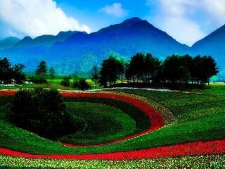 红池坝国家森林公园