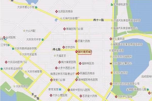 大庆新村地图全图图片