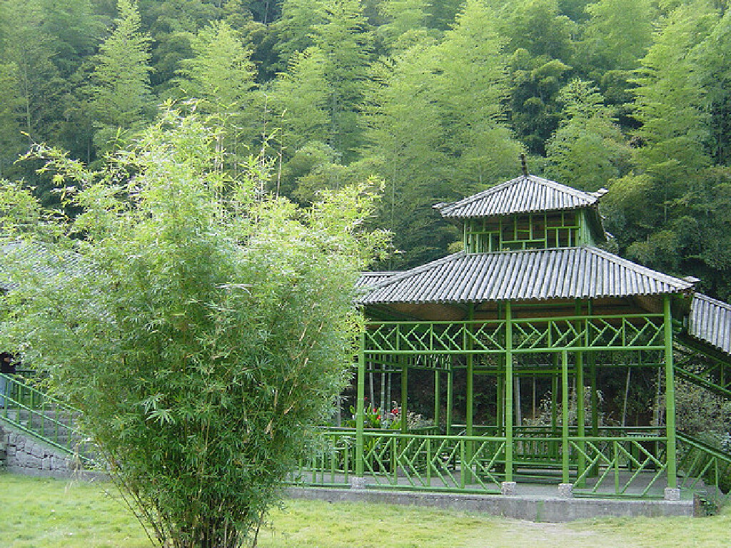  双人报价套餐-安吉卧虎藏龙大竹海自驾2日游>宿安吉大年初一风景度假
