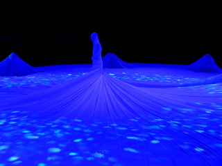 大连武术博物馆太极秀