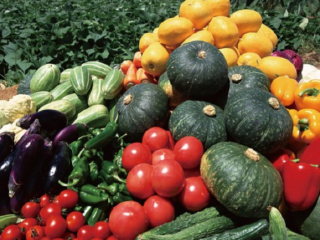 御丰观光采摘园