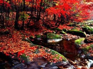 岗山国家森林公园