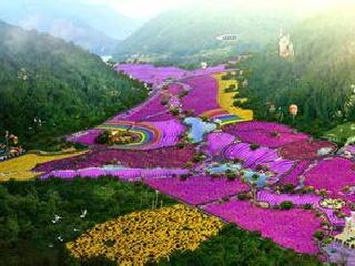 雅思迷宫及薰衣草花园