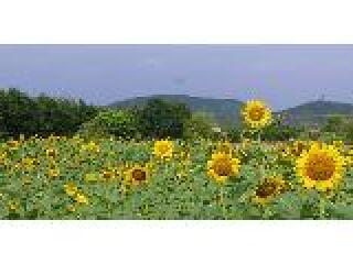 德清下渚湖湿地公园