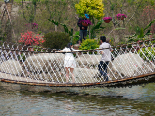 杭州湾海上花田景区