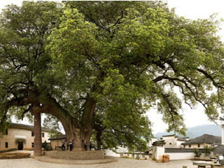 新安江山水画廊