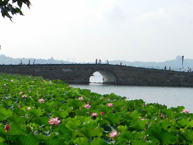  杭州西湖1日游>纯玩无购物 含船游西湖 雷峰塔 涵盖西湖美景