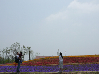 杭州湾海上花田景区