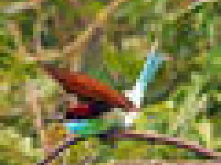 董寨鸟类保护区