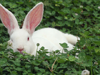 昆山星期九休闲农庄