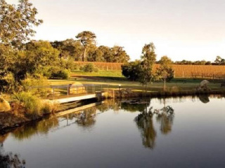 贝尔格罗夫酒厂