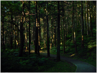 东眼山森林游乐区