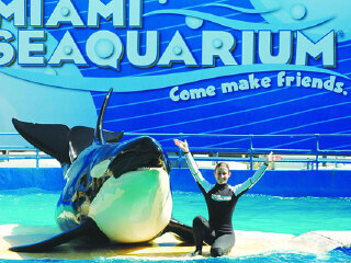 迈阿密水族馆