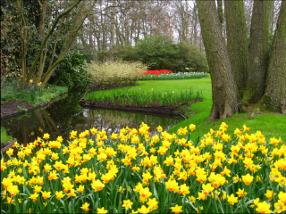 大自然花园游乐区