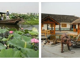 阳澄湖莲花岛沈记蟹园