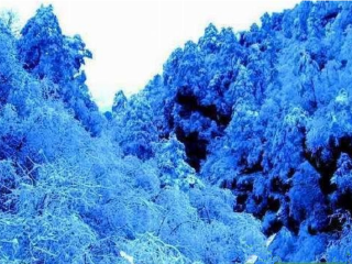 金马太极地旅游区