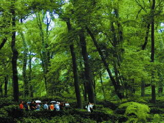 珍珠泉野生动物生态园