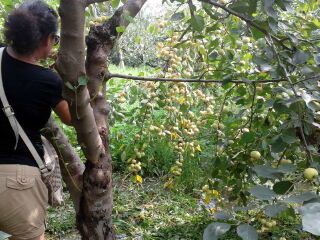 花果山神秘谷风景区