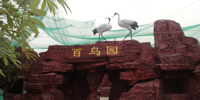 亮点图片