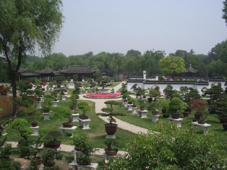 扬派盆景博物馆