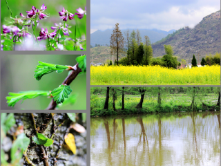 稻源旅游度假区