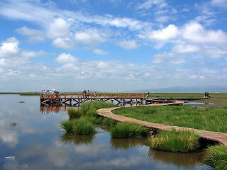 科尔沁珍禽自然保护区