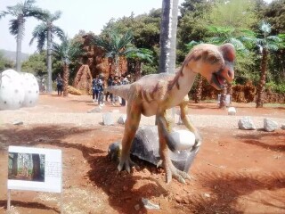 花果山神秘谷风景区