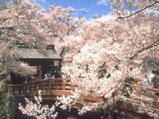 上野丘墓地公园