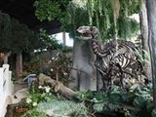 中德化石地质公园