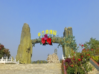 武汉木兰玫瑰园