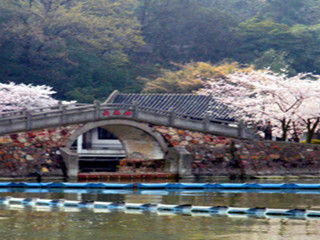 腾冲樱花谷森林温泉风景区