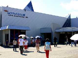 千岁鲑鱼水族馆