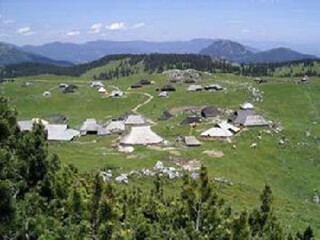 斯波德涅波萨夫