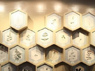 长白山自然博物馆