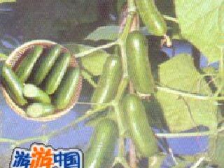 榆中县